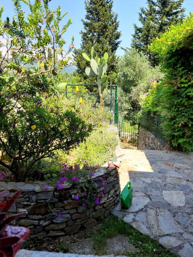 L'Antico Frantoio Villa Rapallo Exterior photo